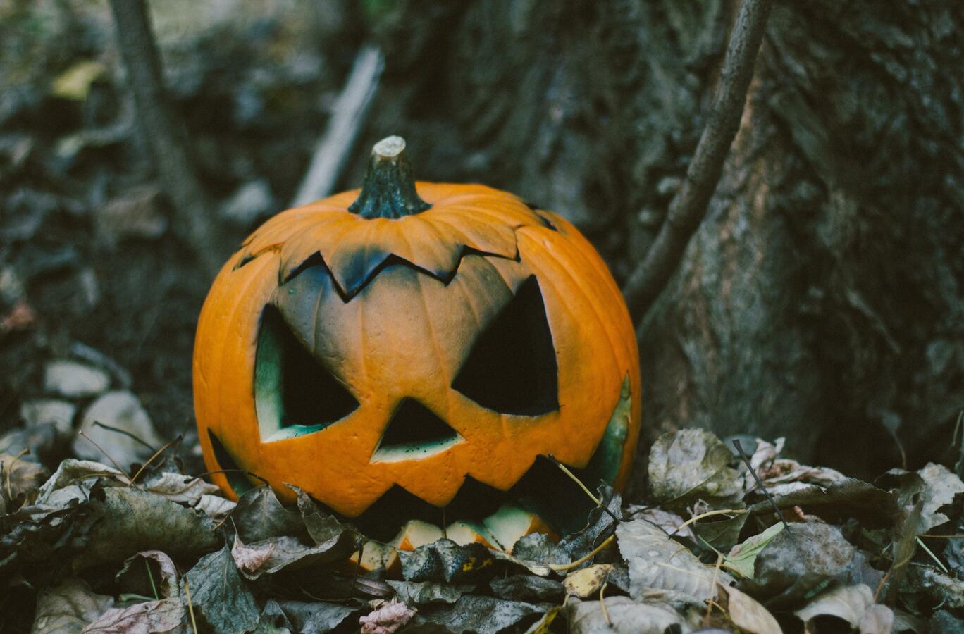 Halloween is a celebration observed in many countries