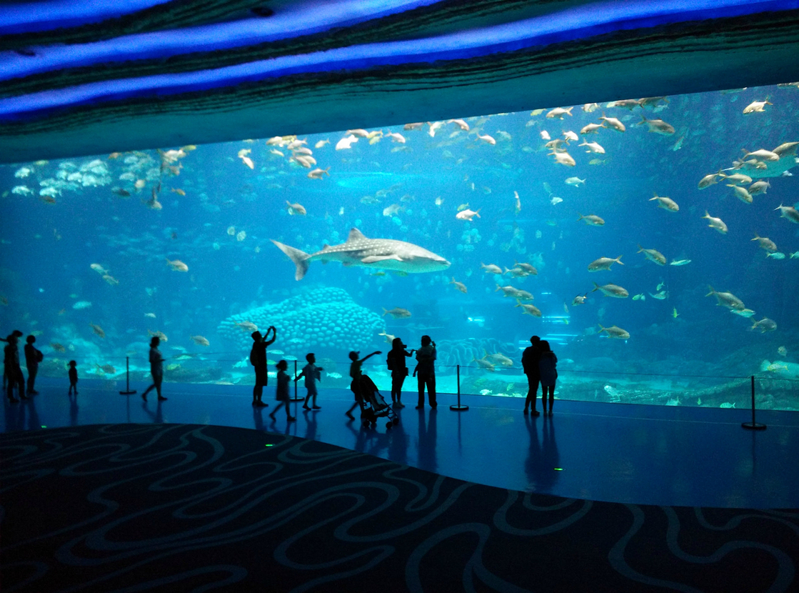 Zhuhai Chimelong Ocean Adventure & Family Vacation Tour (4 Days & 3 Nights)