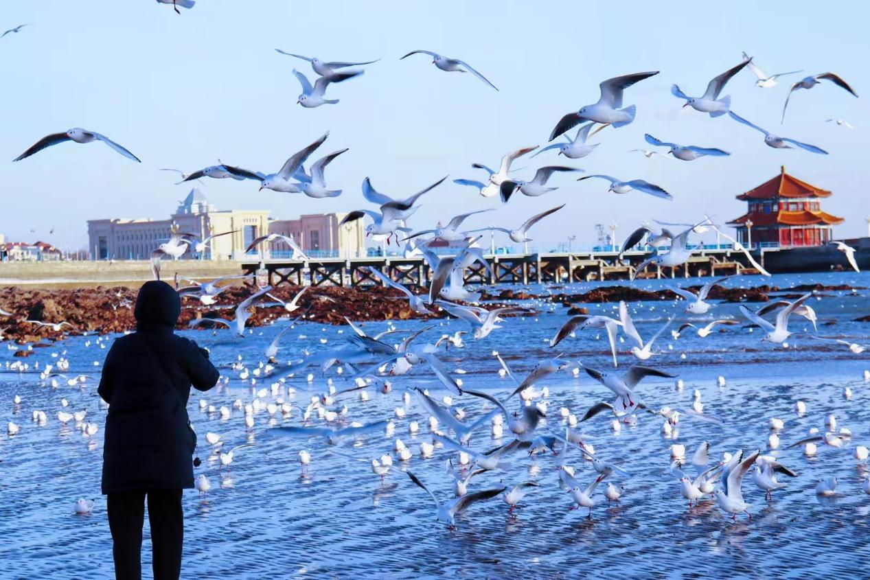 Qingdao Romantic Coastal Tour (3 Days & 2 Nights)