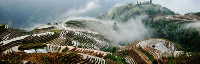 Longji Rice Terraces aerial view